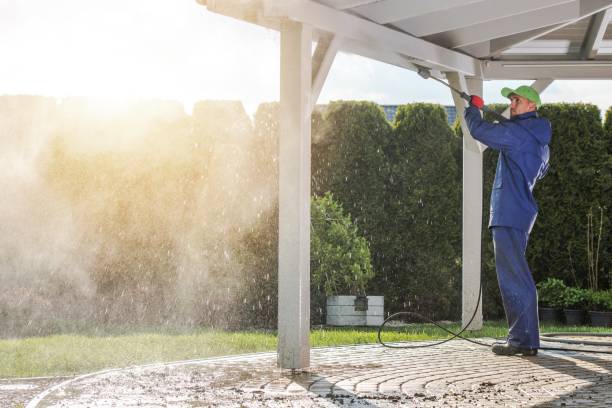Best Fence Cleaning  in Tavares, FL